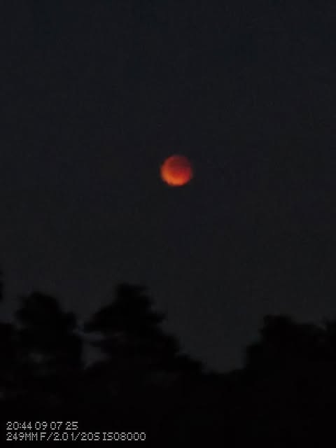 Blutmont mit 30X AI Zoom